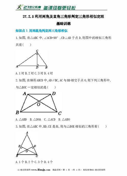 27.2.1 利用两角及直角三角形判定三角形相似定理 同步练习 