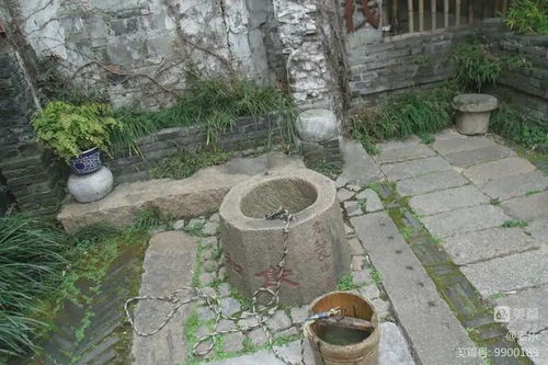 庭院里打水井需注意些什么