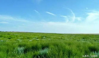 中国最美十大草原,这个夏天,你应该去草原潇潇洒洒 策马奔腾 
