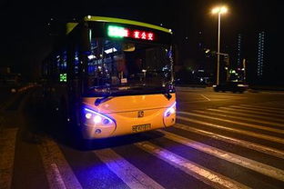 沈阳224公交车的行车路线(沈阳市224路公交车起点和终点)