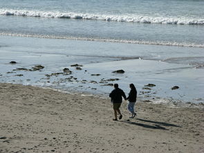 海滩,海边,走,夫妇,夏天,沙,水,旅行,海岸,度假,海岸线,漫步,控股,手,放松 