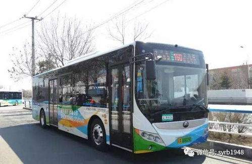 沈阳2 3公交车将由新能源车 接班