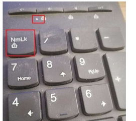 为什么键盘有些键不能用 