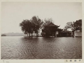 杭州西湖的湖光秋月图片孤山寺和贾亭的位置图(西湖秋日)