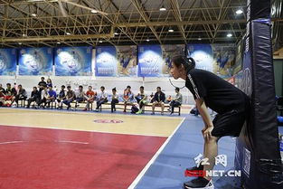 来舔屏 中国最美篮球女裁判的美照在这里 