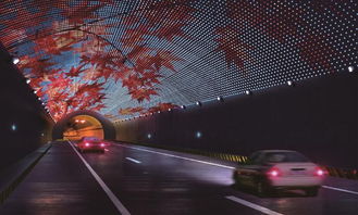 隧道内有 蓝天白云 雅康高速二郎山隧道首次采用景观照明 
