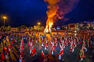 雪顿节 那达慕节 泼水节和火把节分别是那个民族的节日 