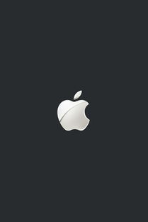 开机苹果logo亮了又灭不开机(为什么苹果开机logo会闪一下)