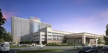 闵行中心医院是几级医院(闵行中心医院是几级医院,是公立医院吗)