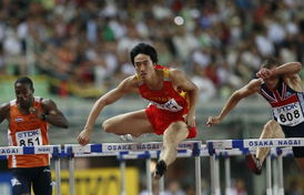 刘翔12秒95夺2007世界田径锦标赛110米栏冠军 