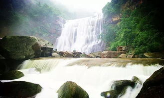 贵州赤水引入创客团队打造文化体验旅游