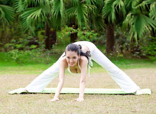 亚洲最美瑜伽教练 瑜伽协会 江西省瑜伽协会logo 