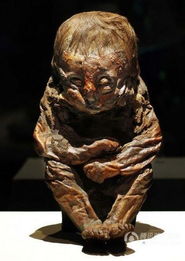 6500岁的娃娃木乃伊 世界木乃伊特展 
