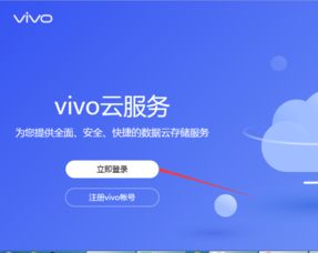 vivo云服务登录官网定位(vivo云服务登录定位失败什么原因)