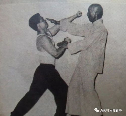 湖南叶问咏春拳 我个人所认识的中国拳术中,最推崇咏春拳