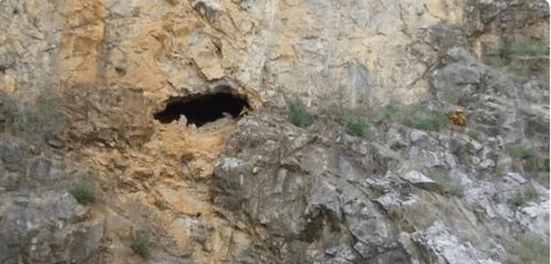 因为一时好奇,保山男子进山洞探险被困56米高绝壁 万幸的是....