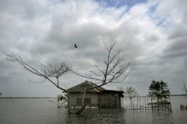 孟加拉国东北部洪灾严重溃堤 15万人被洪水围困