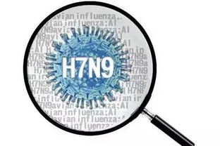 震惊 对鸡高致病性H7N9病毒或起源于珠三角