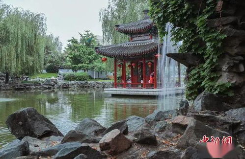 北京大观园已恢复开园,夏日重温红楼梦园林经典美景