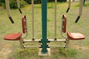 公园里有什么健身器材 