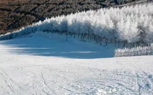 国内必去十大滑雪场滑雪滑雪场选址的有利条件(国内出名滑雪场)