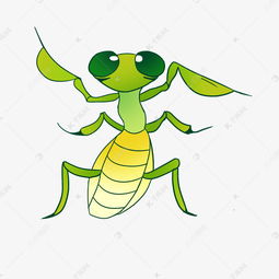 可小昆虫螳螂插画素材图片免费下载 千库网 