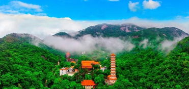 关于惠州吃喝一日游必去十大景点惠州罗浮山一日游攻略的信息
