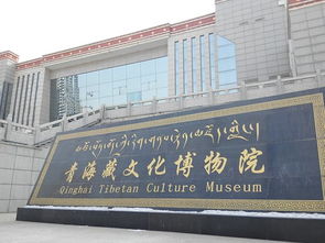 西宁有几个博物馆(西宁有哪些博物馆值得去)