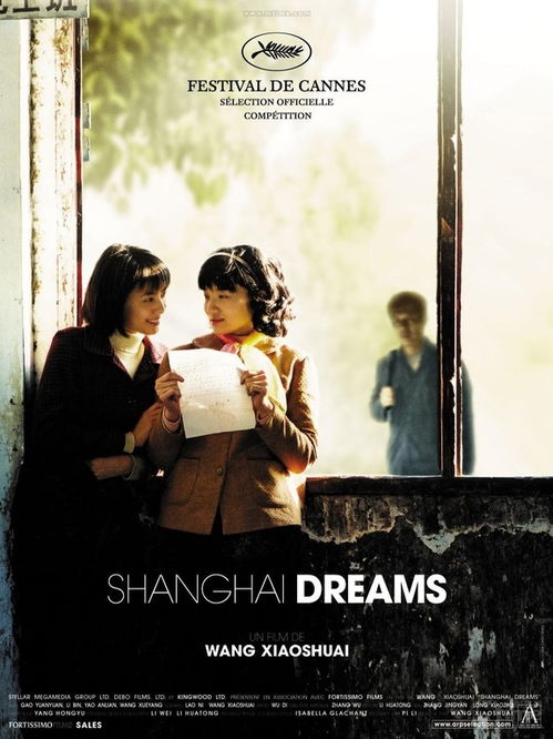 法国观众眼中的十年中国电影 主流与边缘 