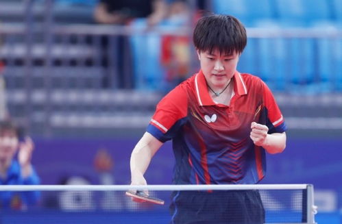 CCTV5直播 全运会乒乓球女团决赛前瞻,陈梦有望助山东击败辽宁