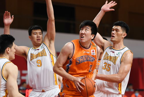体育 篮球 CBA第四阶段 山西汾酒股份胜上海久事