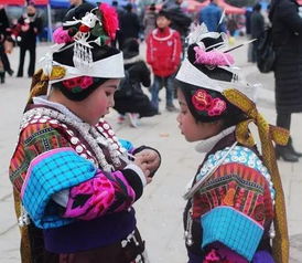 芦笙节是哪两个民族的节日哪个民族的特色节日是泼水节(芦笙节是哪个民族乐器)
