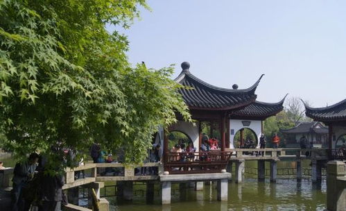 上海的一处公园,景色堪比苏州园林,门票免费却少有人知