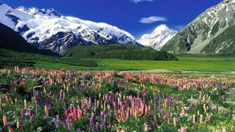 新西兰七月是什么季节(新西兰几月是春天)