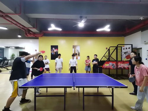 男女混双乒乓球历届冠军(乒乓球男女混双冠军是谁)