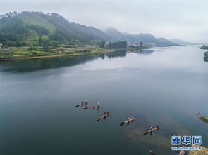 千岛湖是哪个省的城市(千岛湖是哪个省哪个县)