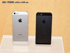 极致细腻 苹果iPhone5黑色4350白色4390 