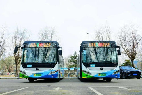 沈阳新增两条公交线路
