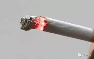 烟头未熄灭的安全隐患(未熄灭的烟头最高温度可达多少度极易引发火灾)