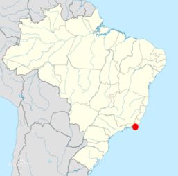 里约位于巴西那个部地方巴西地图 