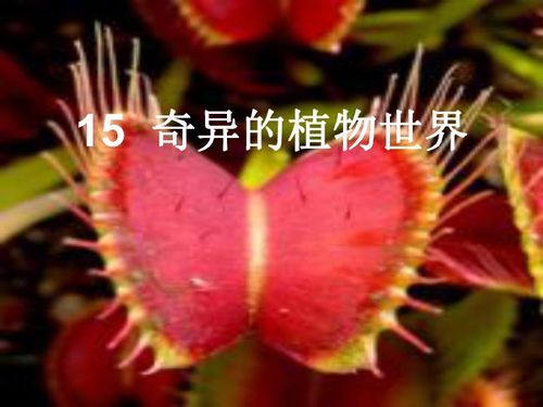 10种奇妙植物的功能(10种奇妙植物的功能三年级)