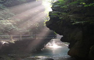重庆金刀峡景区系列门票 保持着原始古老神奇的峡谷自然风景区 购买2小时后可使用