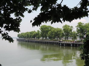 武汉东湖旅游攻略及花费描写武汉东湖美景的段落(武汉东湖的景色的句子)