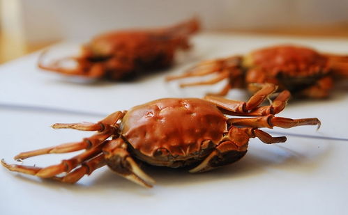女人月经期能吃螃蟹吗 女人月经期吃螃蟹会怎么样