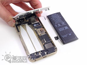 iPhone 5s拆解 内部变化大 电池仍难换 