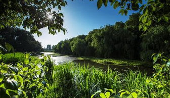 同里国家湿地公园 成人票同里国家湿地公园周末休闲好去处,上海过去也就1 驴妈妈点评 