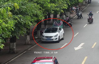 长宁城区单行道实施电子监控抓拍,逆行违停的驾驶员们看过来