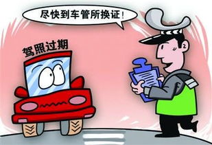 南京2.2万人驾照过期未换证 网友 忘了换证怎么办 组图 