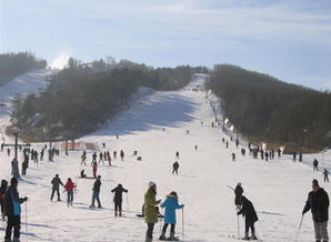 东北亚滑雪场电子门票