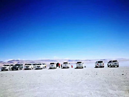 成都自驾游经若尔盖草原甘南青藏线进藏10日行程如何安排